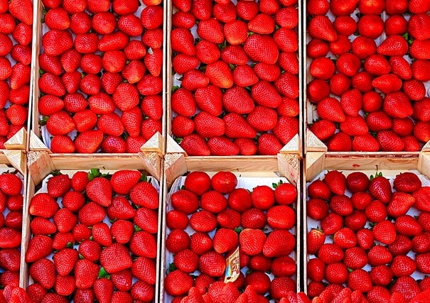 wholesale frozen strawberry's