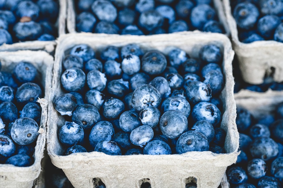 frozen blueberry buckets